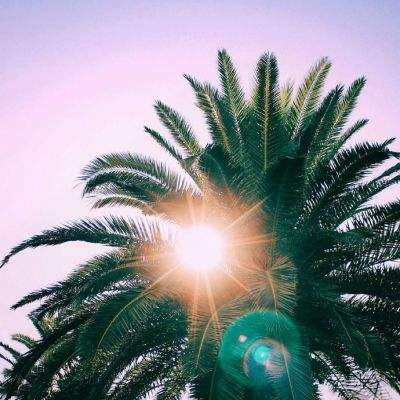 澳门威斯尼斯WNS888入口app下载