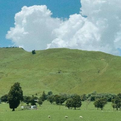 ag娱乐平台游戏中心手机app下载