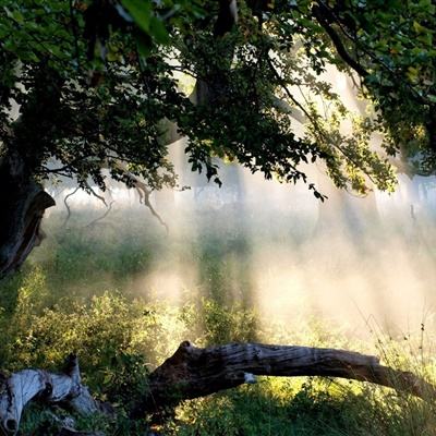 北京k10赛车下载app