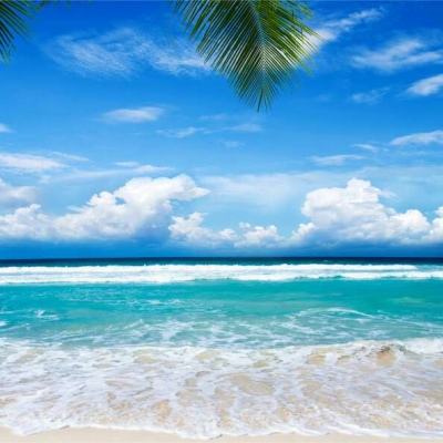 bat365官网登录入口手机app下载