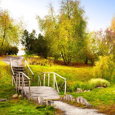 998娱乐彩票安卓APP